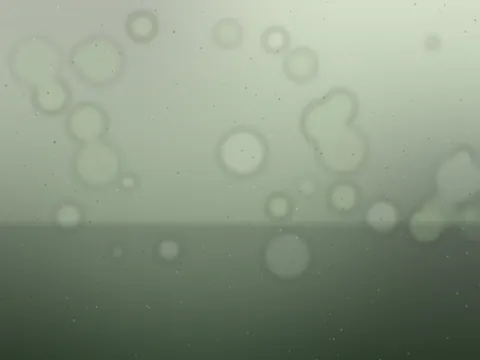 Das Sommer-Gartenmenü