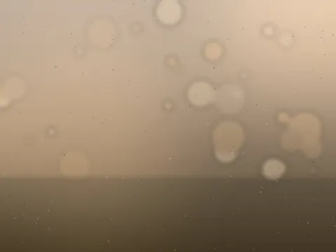 Das Käsefinale